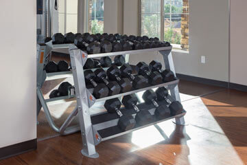Condo Rentals in Phoenix - Fitness weights